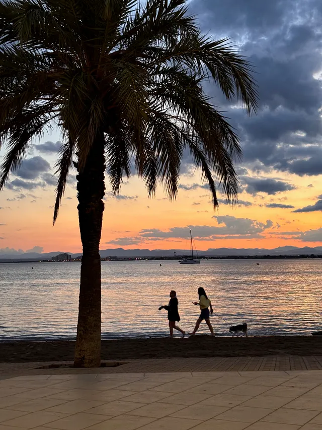 Thumbnail for qol-szur-fit