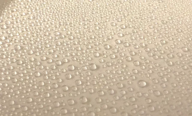 Thumbnail for dws-xefs-rnx