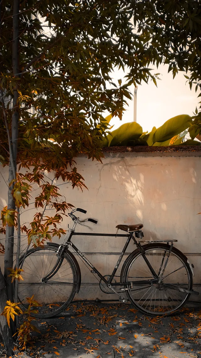 Thumbnail for ayu-iyin-ijb