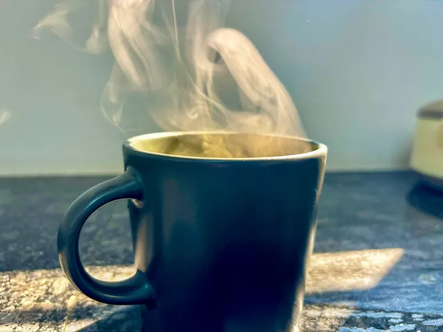 Thumbnail for pau-ywag-jco