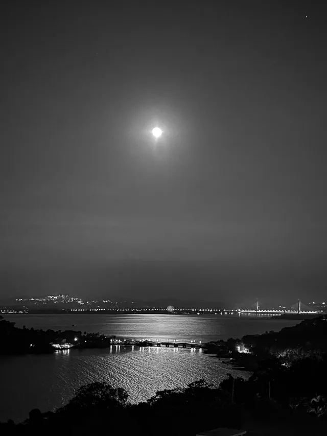 Thumbnail for ynk-aoca-vmt