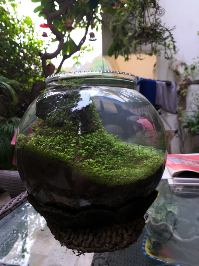 Thumbnail for aqy-cmnm-ojb