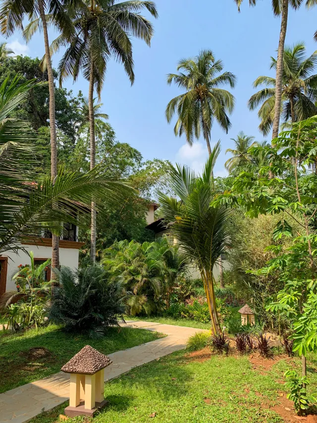 Thumbnail for wcm-wtyi-fhu