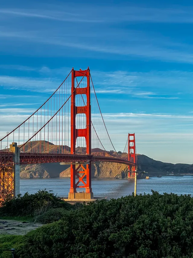 Thumbnail for lhv-uhyl-pdp