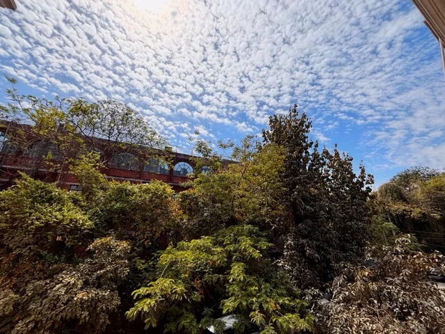 Thumbnail for qrj-jwfn-vit