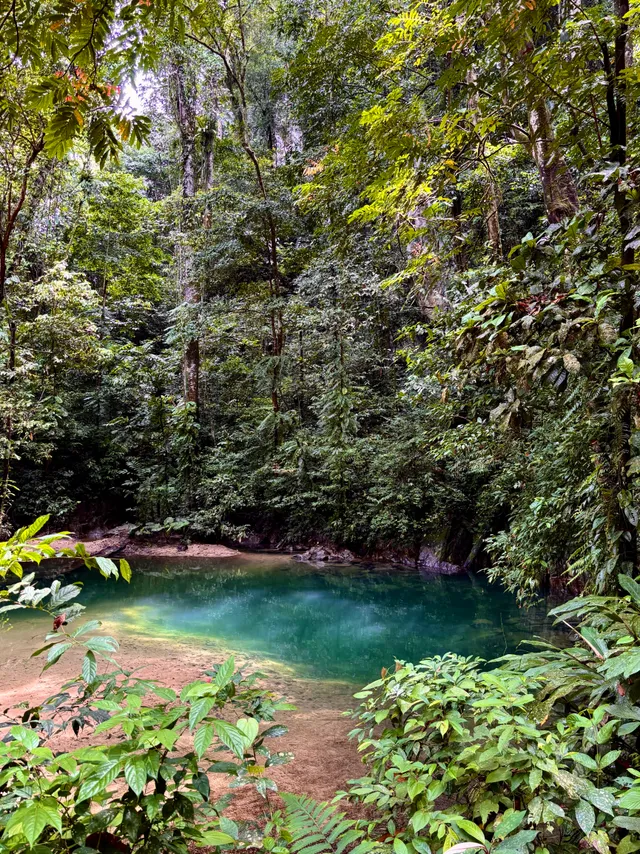 Thumbnail for lla-cjog-dpb