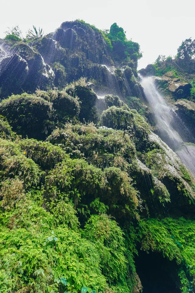 Thumbnail for hfp-jfid-zou