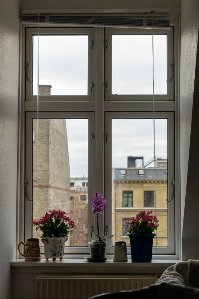 Thumbnail for vwo-hyux-iqc