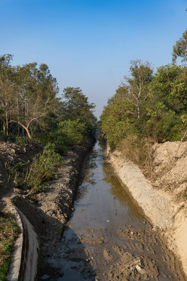 Thumbnail for vez-cyfd-cqc