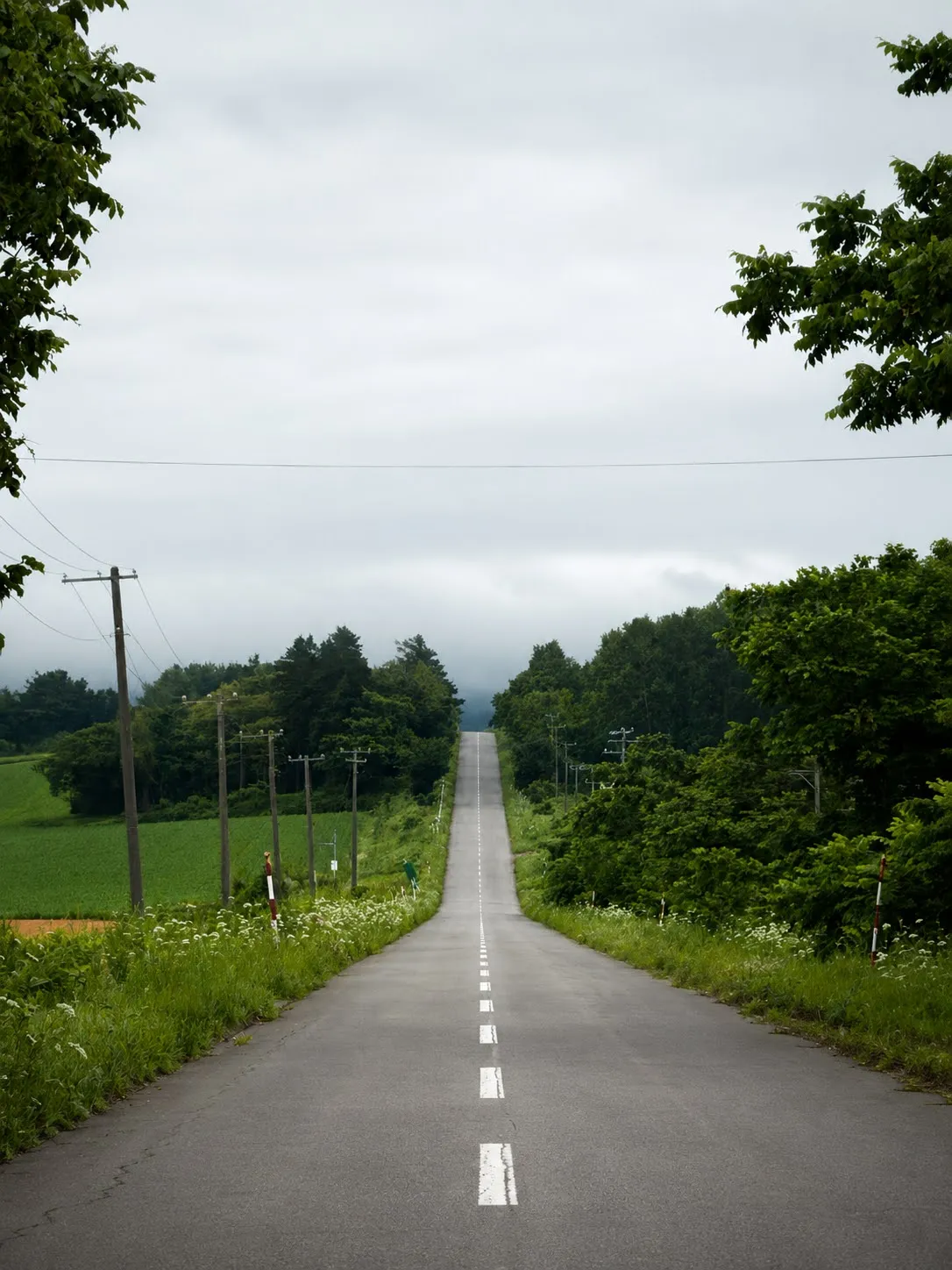 Image b5327da5-111c-4f34-b77a-d9985aac1c89