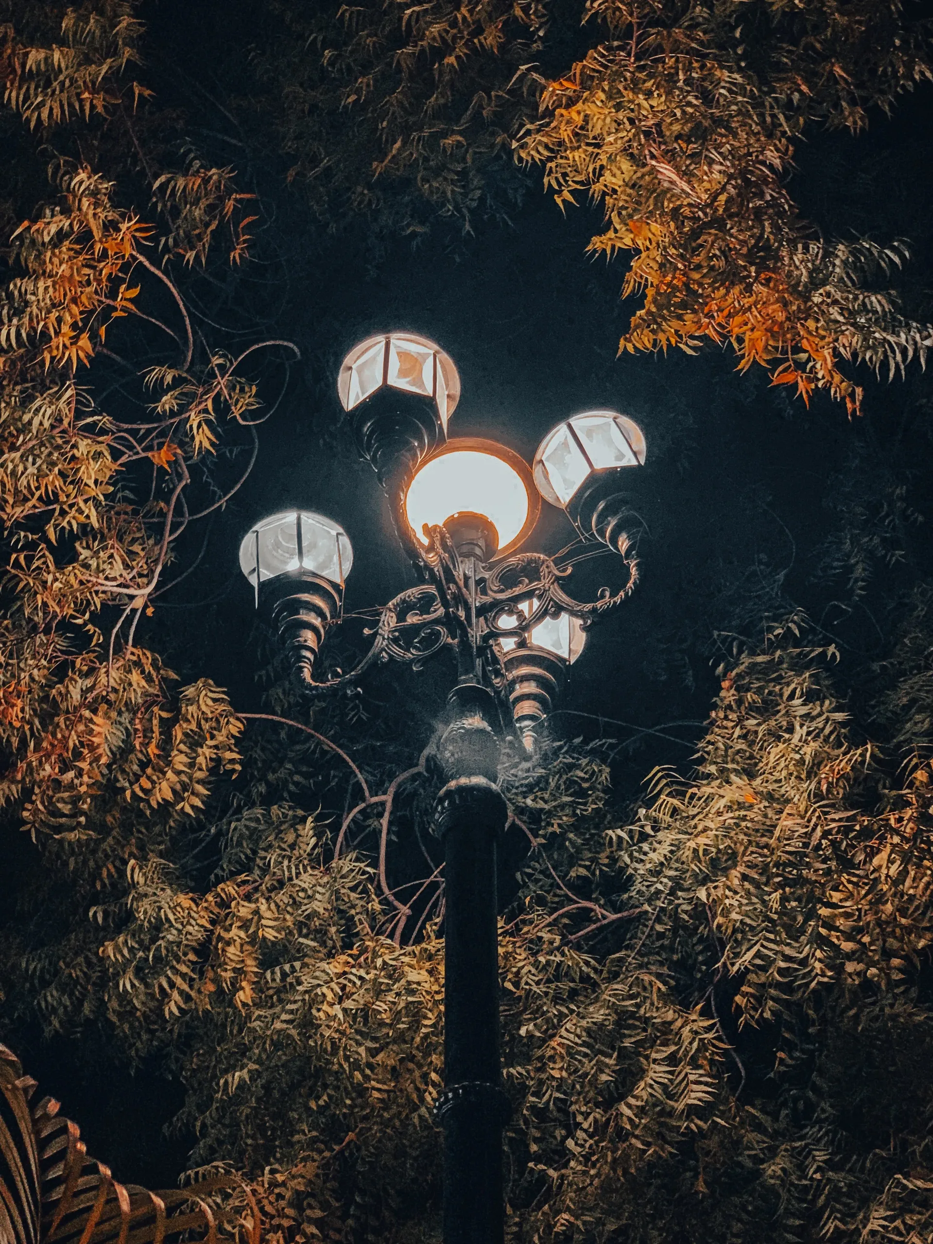 Image kmu-wbov-oee