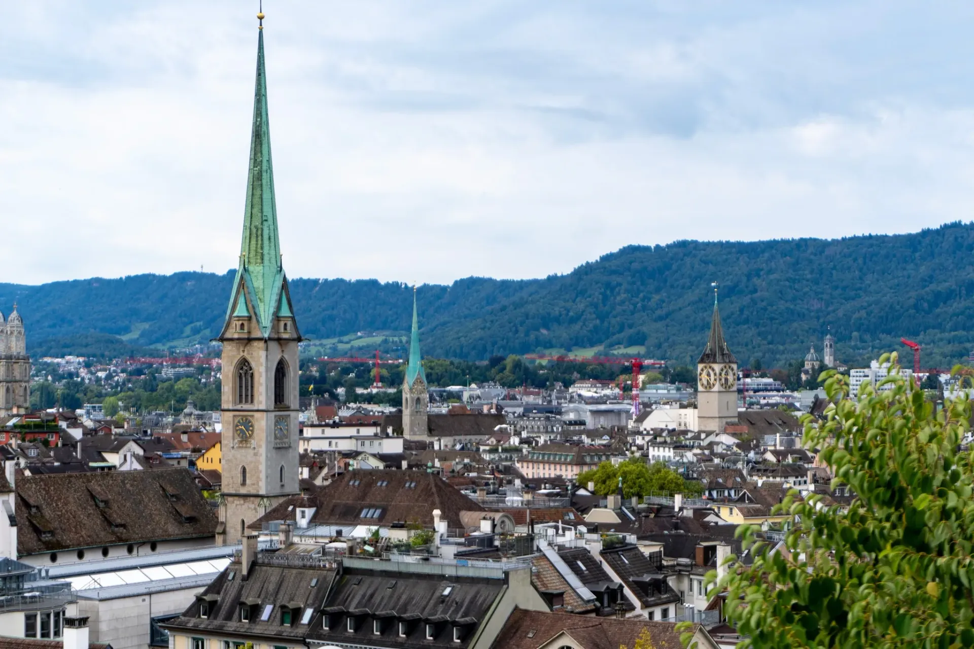 Image slk-iddr-svs